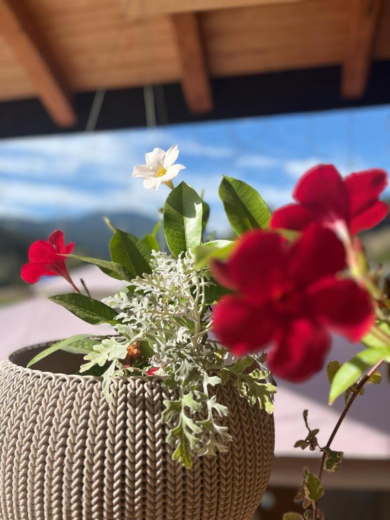 Pensiunea Mireasma Bucovinei Crucea Exteriör bild