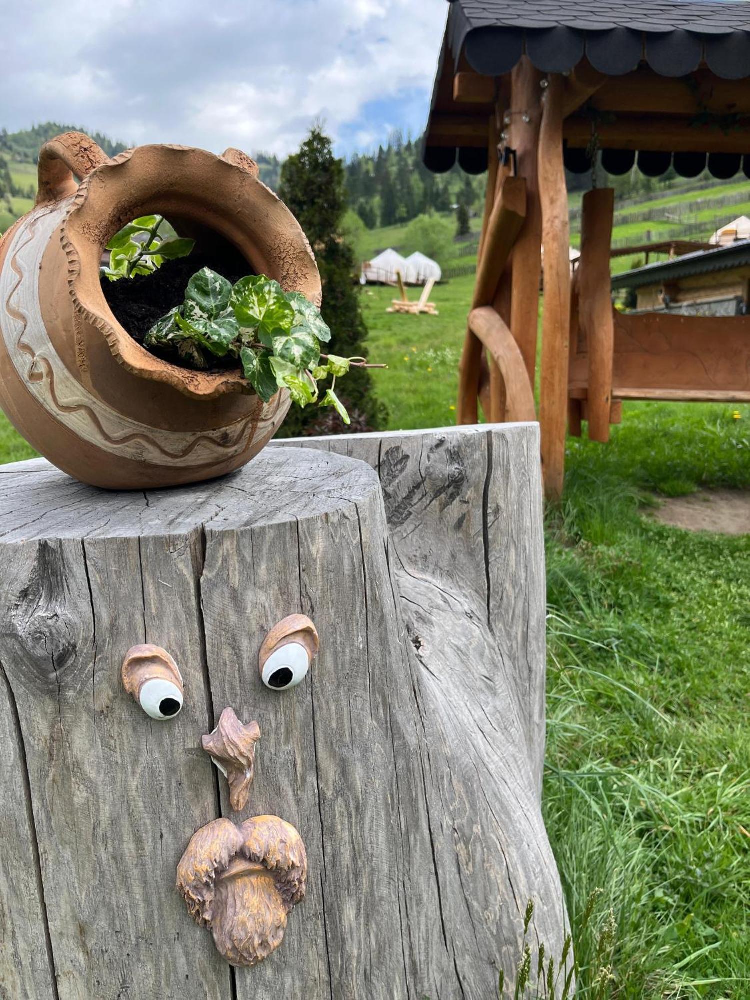 Pensiunea Mireasma Bucovinei Crucea Exteriör bild